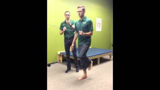 Posterior Tibial Exercises with Dr Leo Kormanik [upl. by Chara95]