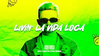 Ricky Martin  Livin’ La Vida Loca Kevin Brand Remix  Tech House [upl. by Yuma]