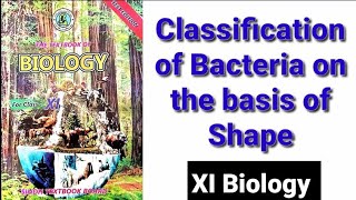 Classification of bacteria on the basis of Shape XI Biology [upl. by Vasilek604]