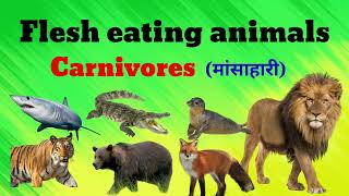 Flesh EatingAnimals  Carnivores Name  मांसाहारी प्राणी हिंदी एव अंग्रेजी मे [upl. by Stillmann420]