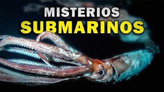 INVESTIGACIÓN en PROFUNDIDADES  Los MISTERIOS del OCÉANO [upl. by Eidualc]