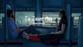 Tu Jaane Na  Atif Aslam song Slowed  reverb ranbirkapoor love [upl. by Inasah149]