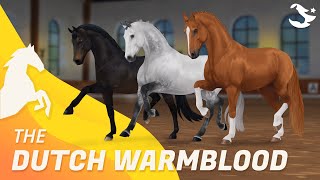 Dutch Warmblood ✨  Star Stable Horses [upl. by Dnomra]