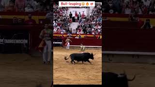 Bullfighting in spanish 🔥💯💯😲 bull [upl. by Nelyahs]