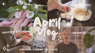 April Vlog  ✨ What I Eat Job Hunting Cooking Productive Days Side Hustles ✨ [upl. by Imik501]