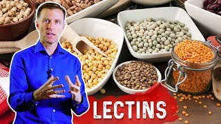 Reduce Lectins for Autoimmune Conditions – Immune System amp Foods High In Lectins – DrBerg [upl. by Edyth]