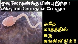 After ovulation what to do to get pregnant in tamilfoods to be avoid after ovulationகரு தங்க [upl. by Marieann]