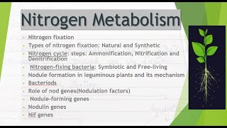 Nitrogen MetabolismBiological Nitrogen FixationNodule formationBacteriodnod and nif genesNotes [upl. by Annatnas680]