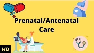 Antenatal Care  Gynecology  Health and illness nursing Foundation notes [upl. by Nedia]