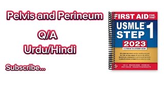 First aid made easy  Pelvis Perineum Anatomy  QA Series  Quick Hints 👌 😀 [upl. by Black]