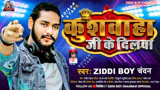 कुशवाहा जी के दिलवा  Ziddi Boy Chandan के नया धमाका  Kushwaha Ji Ke Dilwa  New Viral Song 2023 [upl. by Hakym]