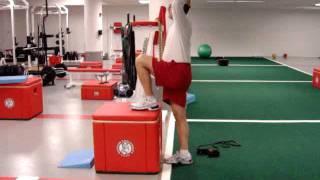 Psoas Iliacus Strengthening Exercises [upl. by Perlis492]