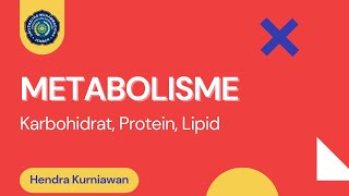 Metabolisme Karbohidrat Protein Lemak  Ilmu Biomedik Dasar  Education Vlog [upl. by Odla243]