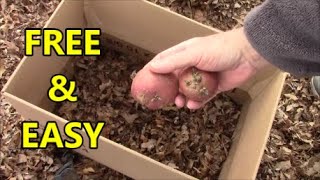 Planting POTATOES In FREE Containers SIMPLE and EASY [upl. by Omero541]