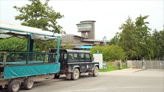 Slimbridge Wetlands Centre  a brief introduction [upl. by Gnehc]