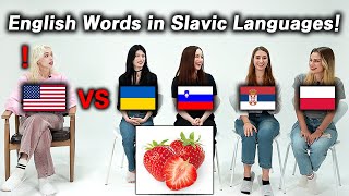 American was Shocked by Word Differences of Slavic Languages Poland Ukraine Serbia Slovenia [upl. by Eiloj]