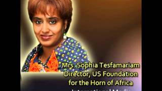 Sophia Tesfamariam on the appeal letter by the 22 intellectuals [upl. by Aniles]