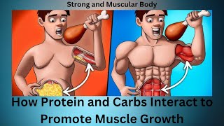 How Protein and Carbs Interact to Promote Muscle Growth [upl. by Reg]