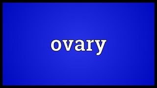 Ovary Meaning [upl. by Sorensen906]