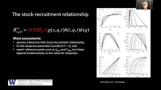 Recruitment modelling and tuna fisheries [upl. by Shem159]