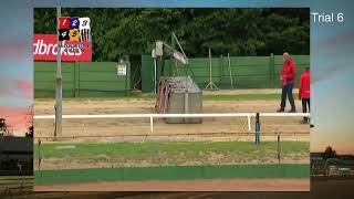 Monmore Green Stadium Greyhound Trials 040720 [upl. by Isteb]