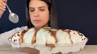 VANILLA amp CHOCOLATE ICE CREAM BOWL  MUKBANG  ASMR  EATING SOUNDS [upl. by Refenej348]