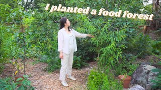 From lawn to permaculture food forest  how I transformed my backyard in 5 months [upl. by Lazaruk]