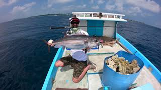 Zenaq Expedition 73S Daiwa Saltiga 4000H YGK Castman Full Drag PE3 Fishing White Tuna in Maldives [upl. by Notserk]