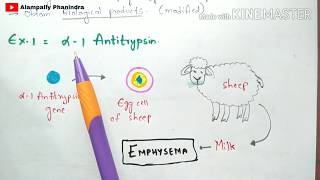 Animal Transgenesis  Transgenic animals  Process  Examples  Bio science [upl. by Saddler]