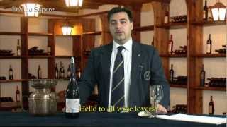 Valpolicella Classico Superiore Ripasso DOC 2009 Antolini  Videodegustazione Online wine tasting [upl. by Yenahc476]