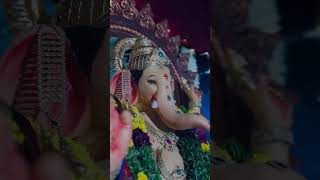 Tulja Bhavani Uthav Samithi Ganesh celebrations 2024 shortsvideo shortsfeed bappa bappamorya [upl. by Inirt]