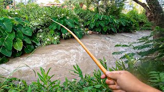 PESCA URBANA en JUJUY 🚗 ARMAMOS LA CAÑA DE PESCA MÁS BARATA ✅ FUNCIONO [upl. by Lorrie]