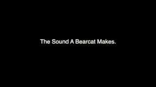 The Sound A Bearcat Makes [upl. by Rehpotsirhc]