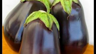 Eggplant 101  How To Use and Work with Eggplant [upl. by Isidro]