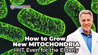 How to Grow New Mitochondria  HIIT Even for the Elderly [upl. by Notlad]