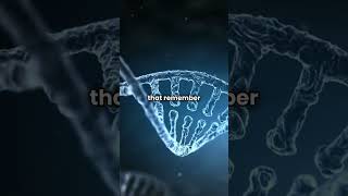 CRISPR Cas9 Gene Modification dna science [upl. by Eillo]