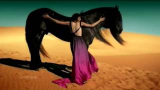 Gipsy Kings  Viento Del Arena  HD video [upl. by Chandos947]