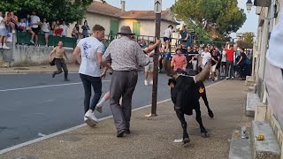 EYRAGUES Bandido de Taureaux Neuf Manade Labourayre 28052023 [upl. by Alue]