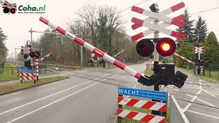 Spoorwegovergang DriebergenRijsenburg 😍4K😍  Dutch railroad crossing [upl. by Hollister]