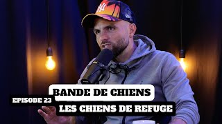 Les chiens de refuge  BANDE DE CHIENS Ep23 [upl. by Barbabra481]