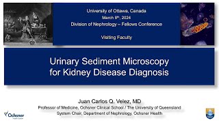 Urinary Sediment Microscopy ​for Kidney Disease Diagnosis with Dr JC Velez [upl. by Ymma]