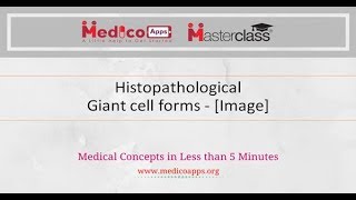 Histopathological giant cell forms Image [upl. by Richer155]