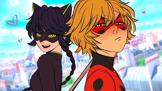 quotFlirty Kittyquot Miraculous Ladybug Comic Dub Animation Compilation  VALORY [upl. by Yuht]