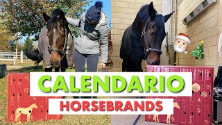 CALENDARIO DELL’AVVENTO HORSEBRANDS 2021😍🐴 [upl. by Anerual]