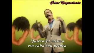 Peter Capusotto y sus videos  Luis Almirante Brown quotEsa raba con pelucaquot 2014 [upl. by Kenti]