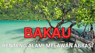 Bakau Benteng Alami Melawan Abrasi [upl. by Yelsha]