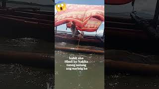 Anong isda kaya Ang nakita mo sealife doglovers shortvideo [upl. by Enisaj]