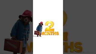 Paddington 2 Movie Clip  Prison Canteen 2018  Movieclips Coming Soon [upl. by Juieta]