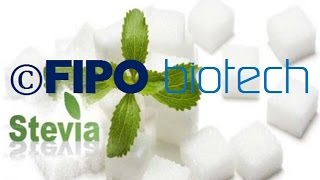 Stevia 95 extracción purificación concentración cristalización secado normativa CE FDA [upl. by Acina381]