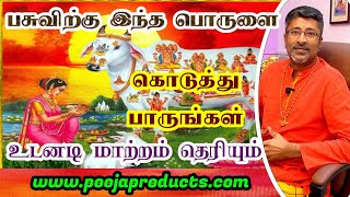 பசுவிற்கு இதை கொடுங்கள் வாழ்வை மாற்றும்vamanansesshadri [upl. by Goldie352]